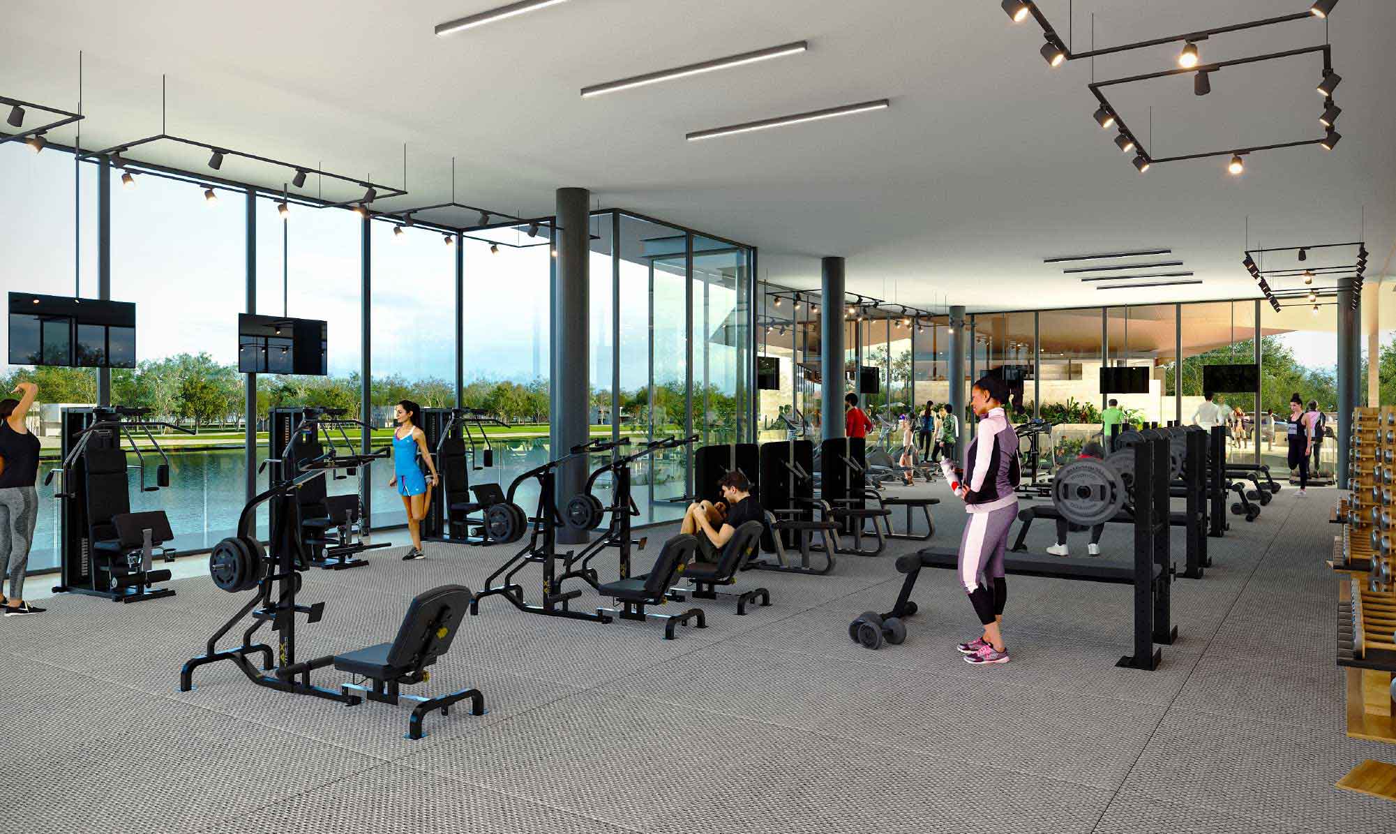 Gym de Gran Provincia