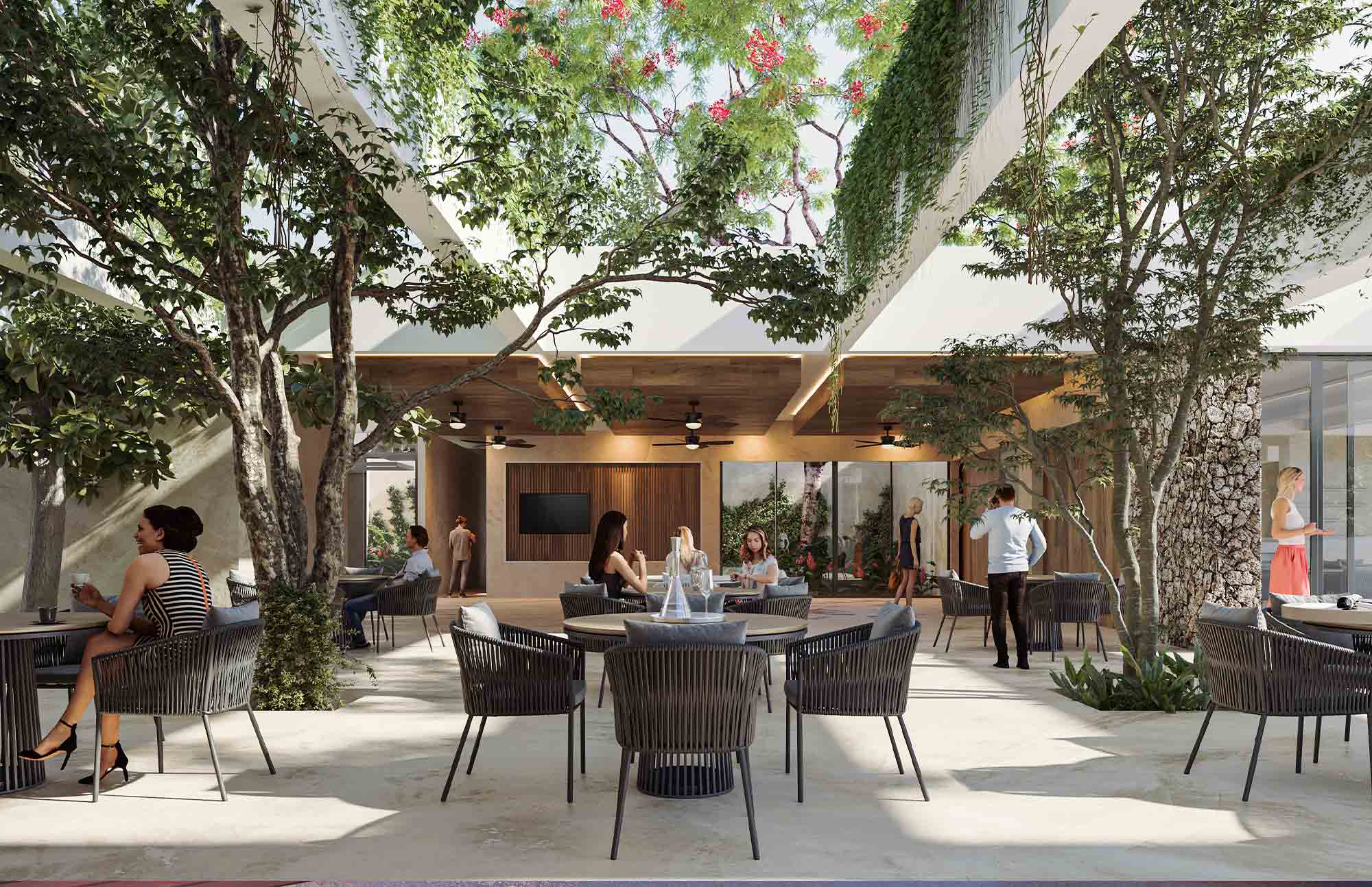 Terrace de Gran Telchac